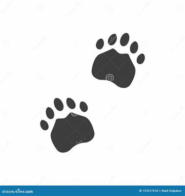 创业成功案例介绍范文