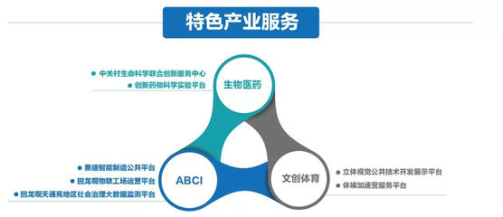 创业思维适应变化的环境